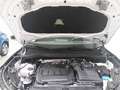Volkswagen Tiguan 2.0 TDI DSG Life Navi AHK IQ.LIGHT" - HD- Weiß - thumbnail 8