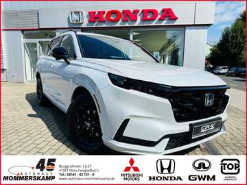 e:PHEV Advance Tech Plug-in-Hybrid Leder+Navi+Park