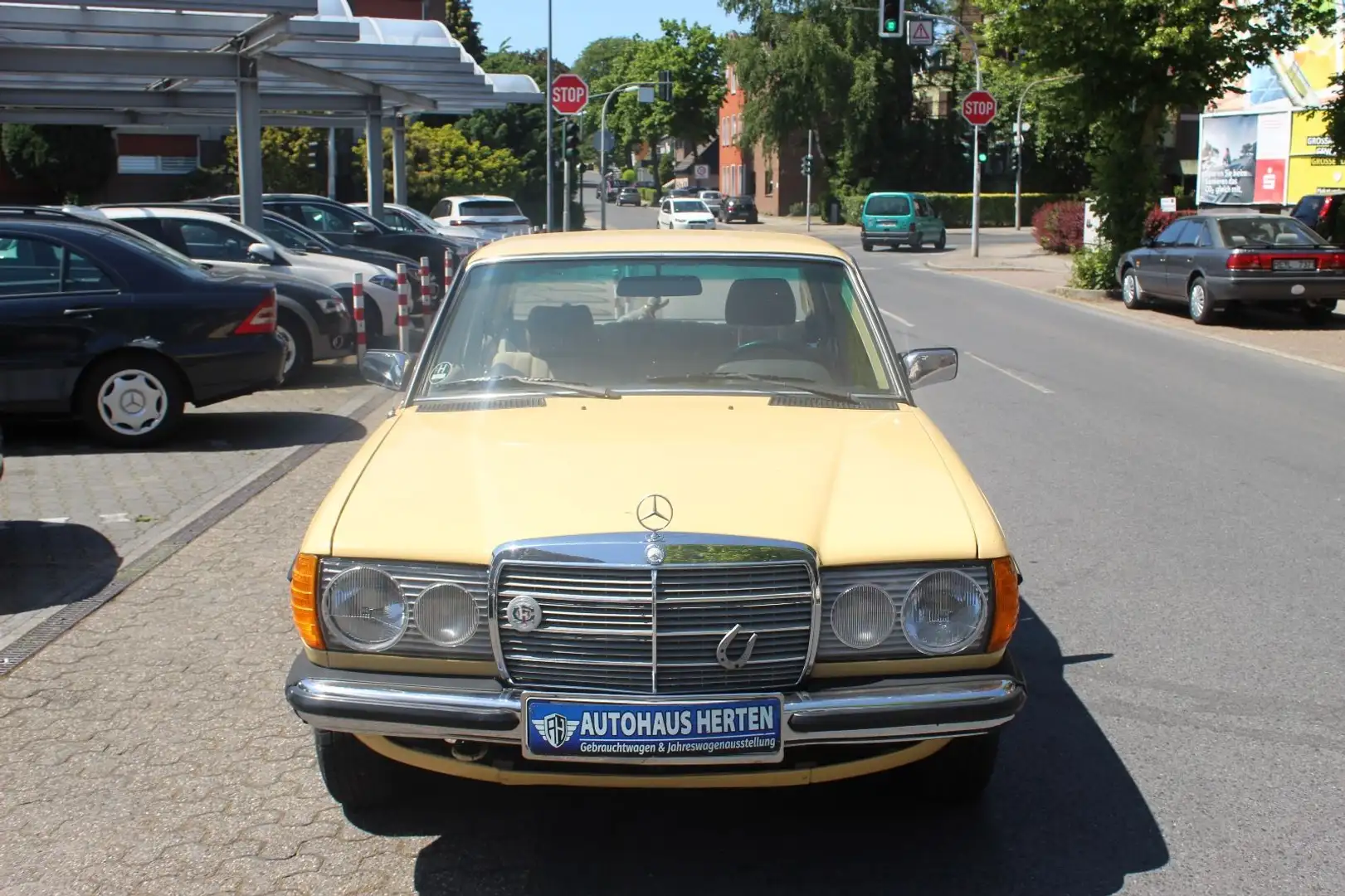 Mercedes-Benz 200 D*W123*H-KENNZEICHEN*TÜV 03-2027*SERVICE NEU Жовтий - 2