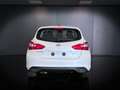 Nissan Pulsar 1.5 dCi 110CV Acenta Blanc - thumbnail 6