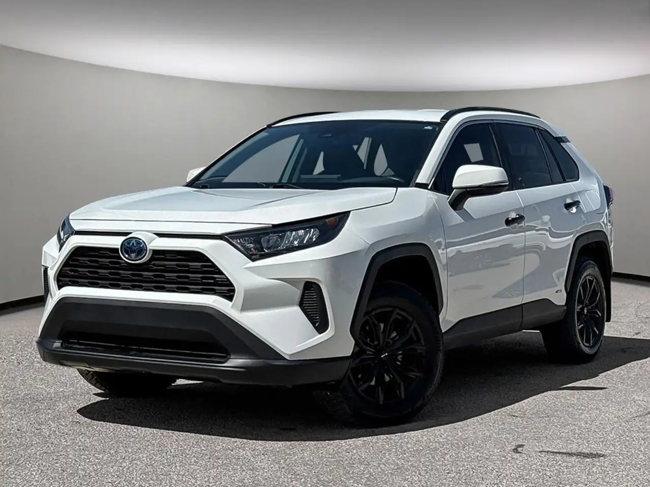 2023 Toyota RAV 4