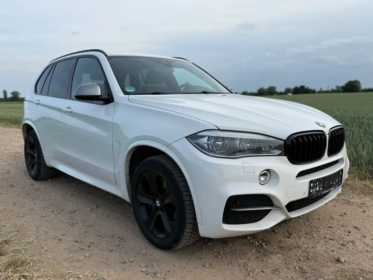 BMW X5 M M50d *1Hand *M Paket *VOLL Weiß - 1