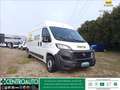 Fiat Ducato 35 LH2 2.3 mjt 140cv E6d-temp Bianco - thumbnail 1
