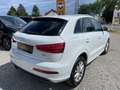 Audi Q3 2.0 TDI ///S-Line*1.Besitz*NAVI*KLIMA*PDC* Weiß - thumbnail 10
