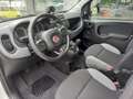 Fiat Panda Panda 1.0 firefly hybrid City Life s - thumbnail 8