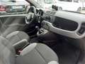 Fiat Panda Panda 1.0 firefly hybrid City Life s - thumbnail 7