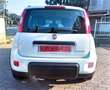 Fiat Panda Panda 1.0 firefly hybrid City Life s - thumbnail 3