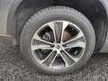 SEAT Ateca Style 1.5 TSI Edition AHK RFK Allwetter Gris - thumbnail 9
