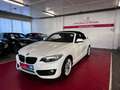 BMW 228 228i Cabrio//Autom//Kamera//Memory// Weiß - thumbnail 4