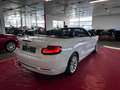 BMW 228 228i Cabrio//Autom//Kamera//Memory// Weiß - thumbnail 14