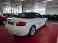 BMW 228 228i Cabrio//Autom//Kamera//Memory// Weiß - thumbnail 7