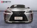 Lexus UX 300h 2.0 Urban 2WD CVT Argento - thumbnail 2