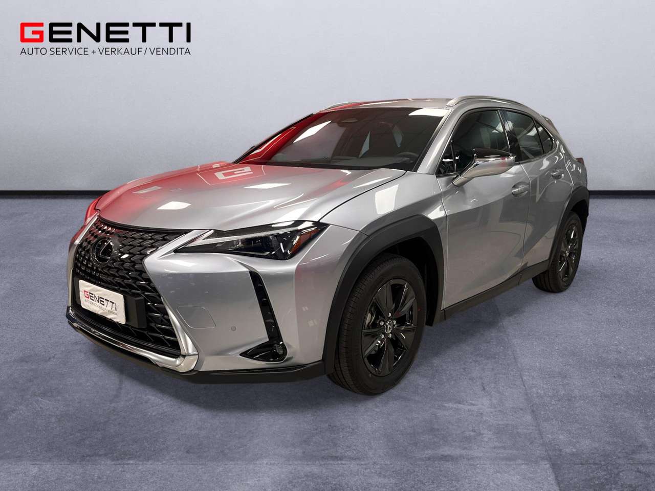 Lexus UX 300h 2.0 Urban 2WD CVT
