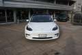 Tesla Model 3 RWD Bianco - thumbnail 8