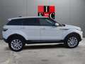Land Rover Range Rover Evoque 2.0D Standard FWD 150 Blanco - thumbnail 7