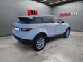 Land Rover Range Rover Evoque 2.0D Standard FWD 150 Blanco - thumbnail 6