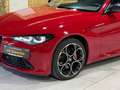 Alfa Romeo Giulia Competizione Q4/ACC/MEMORY/NAVI/KAMERA/SH Rot - thumbnail 42