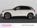 Audi Q5 S line 40 TDI quattro LED+PANO+RFK+HUD+AHK+LEDER+L Blanco - thumbnail 3