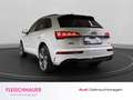 Audi Q5 S line 40 TDI quattro LED+PANO+RFK+HUD+AHK+LEDER+L Blanco - thumbnail 4