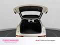 Audi Q5 S line 40 TDI quattro LED+PANO+RFK+HUD+AHK+LEDER+L Blanco - thumbnail 17