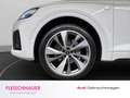 Audi Q5 S line 40 TDI quattro LED+PANO+RFK+HUD+AHK+LEDER+L Blanco - thumbnail 6