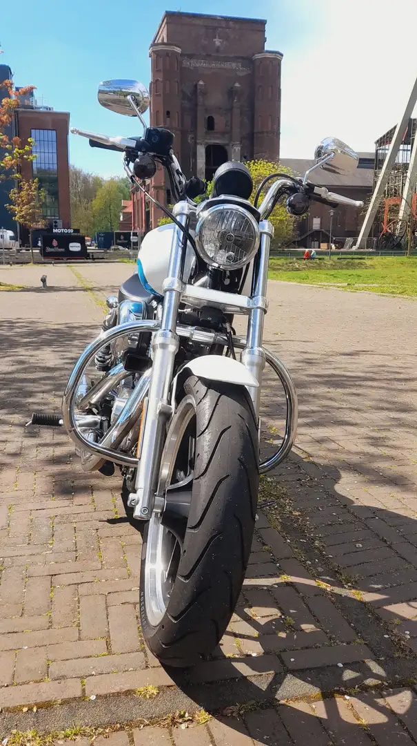 Harley-Davidson Sportster XL 883 XL2 Superlow Wit - 2