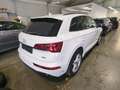 Audi Q5 40 2.0 TDI quattro S line Matrix S Line SpoSi Blanc - thumbnail 7