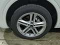 Audi Q5 40 2.0 TDI quattro S line Matrix S Line SpoSi Blanc - thumbnail 12
