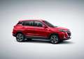 BAIC Beijing X35 1,5L Turbo 4 Zylinder 4 Takt Rot - thumbnail 13