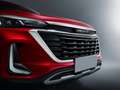BAIC Beijing X35 1,5L Turbo 4 Zylinder 4 Takt Rot - thumbnail 14