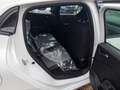 Renault Clio Evolution SCe 65+KAMERA+SHZG+GJR+CARPLAY+KLIMA+ Blanc - thumbnail 12