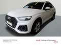 Audi Q5 55 TFSI e S-TRO*QUA*S-LINE*PANO*B&O Weiß - thumbnail 2