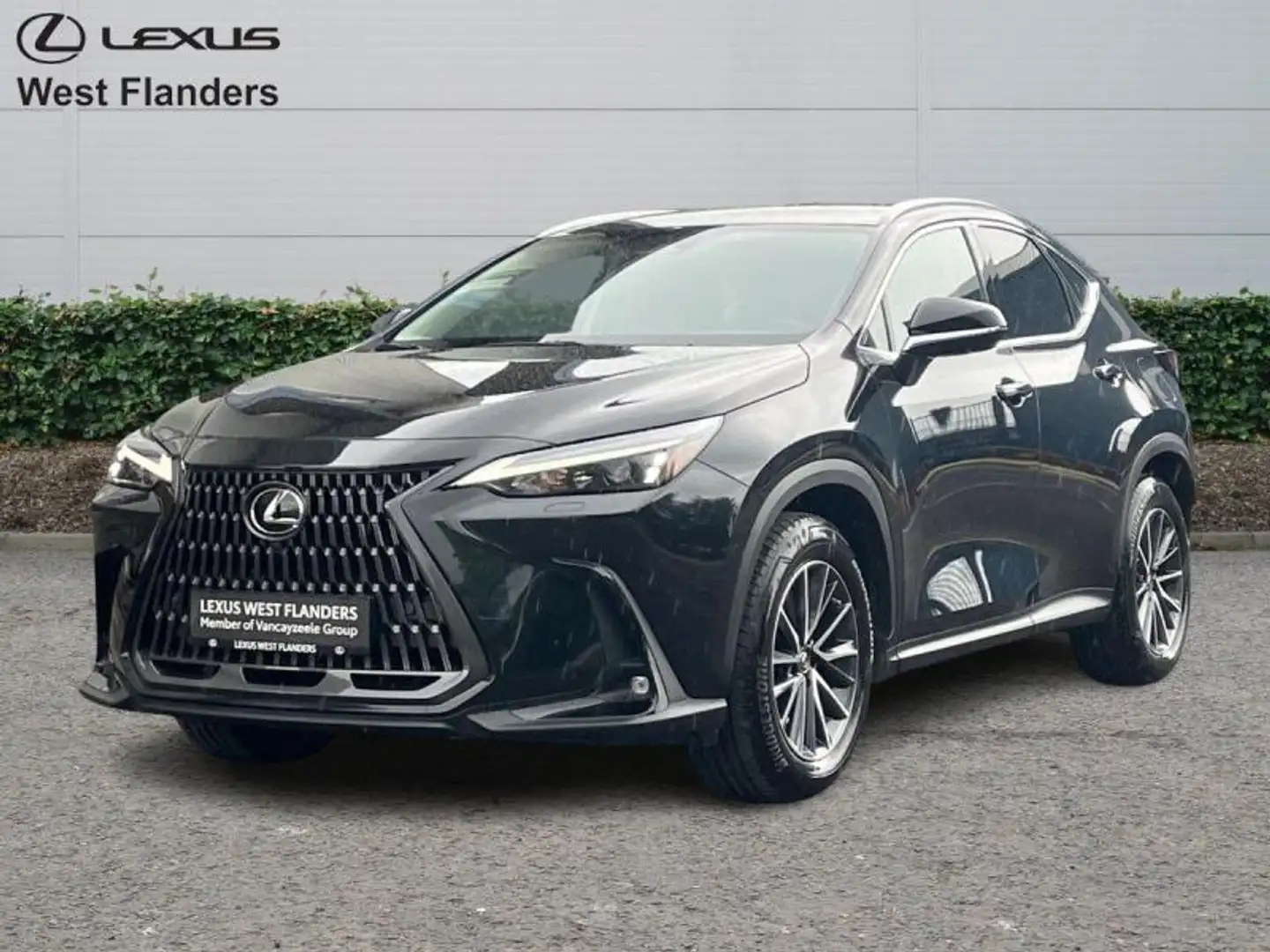 Lexus NX 350h Executive Line+360°cam+Pano Чёрный - 1