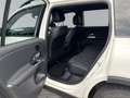 Mercedes-Benz 300 4Matic Advanced Plus 360 Memory Night Paket Weiß - thumbnail 12