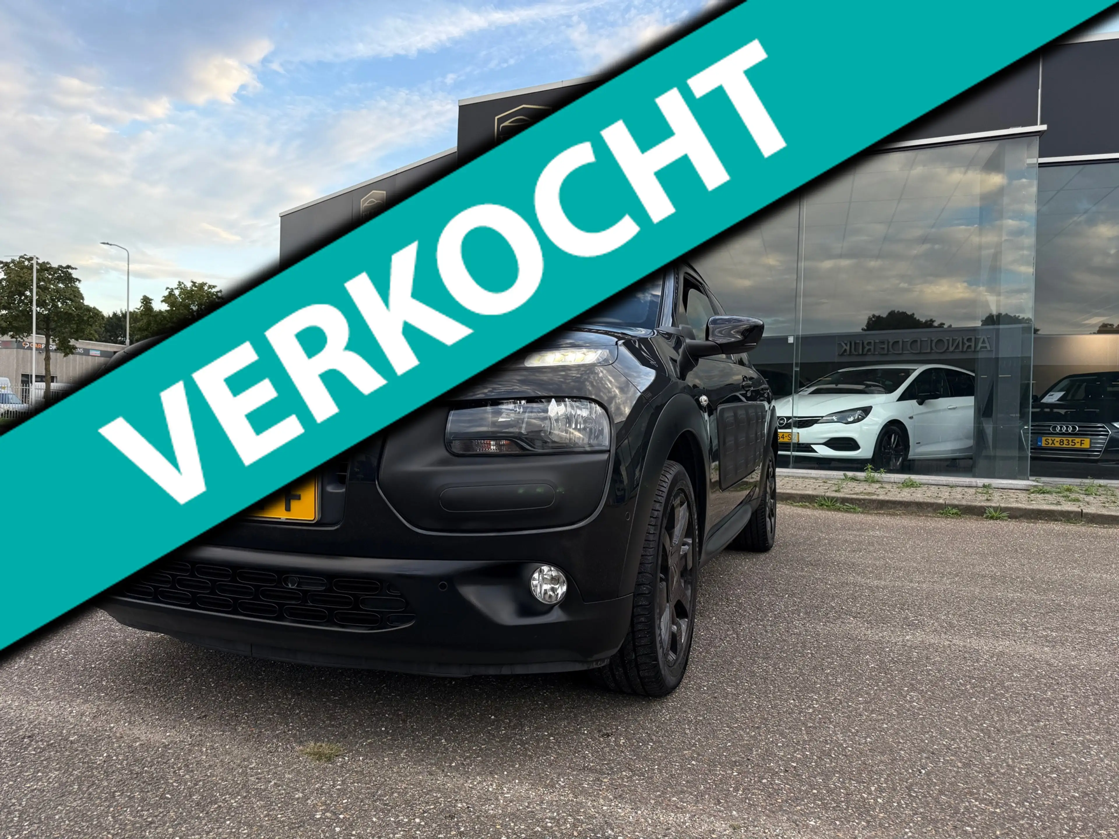 Citroen C4 Cactus 1.2 PureTech Business Plus I Pano I camera I Navi