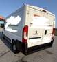 Peugeot Boxer L2H1 2,2 blueHDi 140 3300 Weiß - thumbnail 5