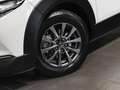 Mazda CX-30 2.0 SKYACTIV-G M Hybrid 150  NAVI PDC BT Wit - thumbnail 10