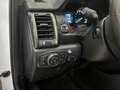 Ford Ranger Wildtrak Doppelkabine 4x4 AHK Kamera STHZ Blanc - thumbnail 11