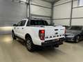 Ford Ranger Wildtrak Doppelkabine 4x4 AHK Kamera STHZ Blanc - thumbnail 2