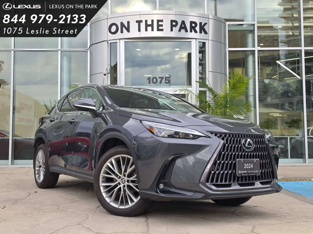 2024 Lexus NX