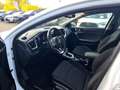 Kia Ceed / cee'd Sportswagon Vision *Allwetter*Carplay Blanc - thumbnail 8