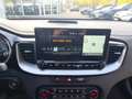 Kia Ceed / cee'd Sportswagon Vision *Allwetter*Carplay Blanc - thumbnail 10