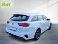 Kia Ceed / cee'd Sportswagon Vision *Allwetter*Carplay Blanc - thumbnail 4