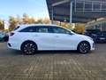 Kia Ceed / cee'd Sportswagon Vision *Allwetter*Carplay Blanc - thumbnail 5