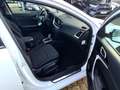 Kia Ceed / cee'd Sportswagon Vision *Allwetter*Carplay Blanc - thumbnail 11