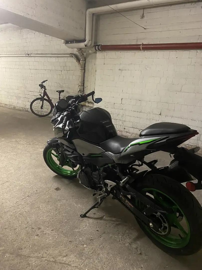 Kawasaki Z 500 SE Gris - 2