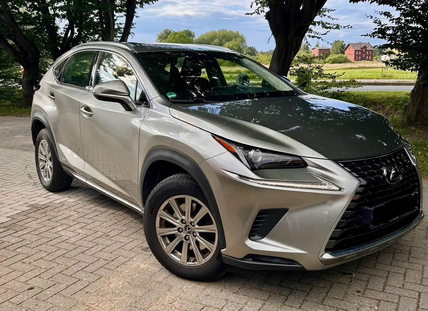 Lexus NX 300h NX Hybrid Argintiu - 1