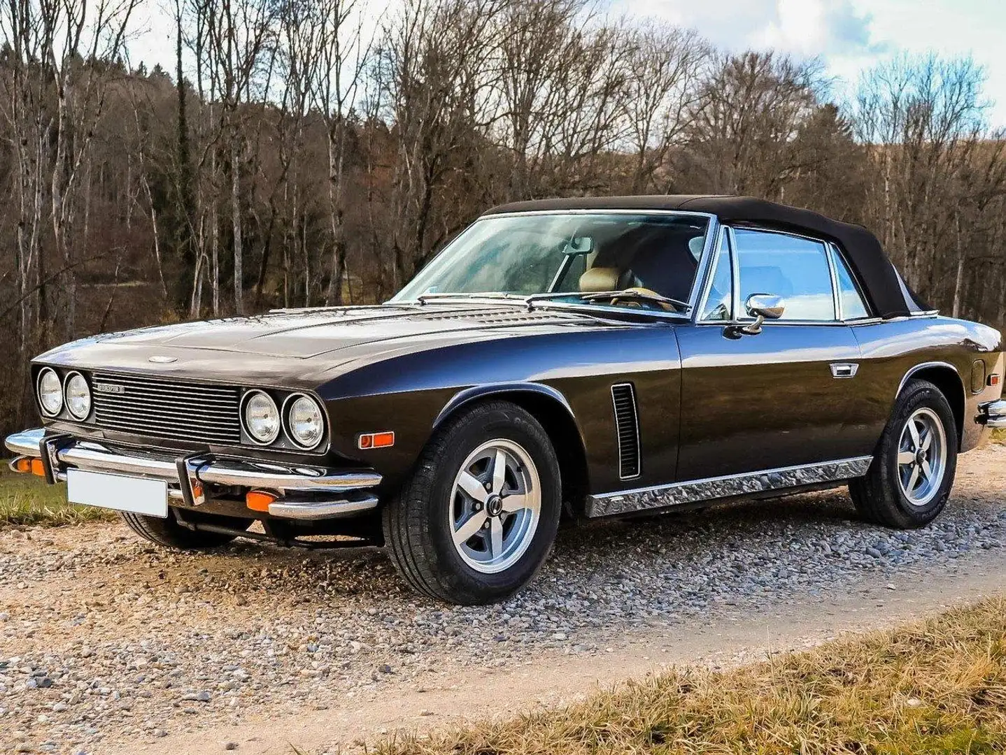 Jensen Interceptor Braun - 2