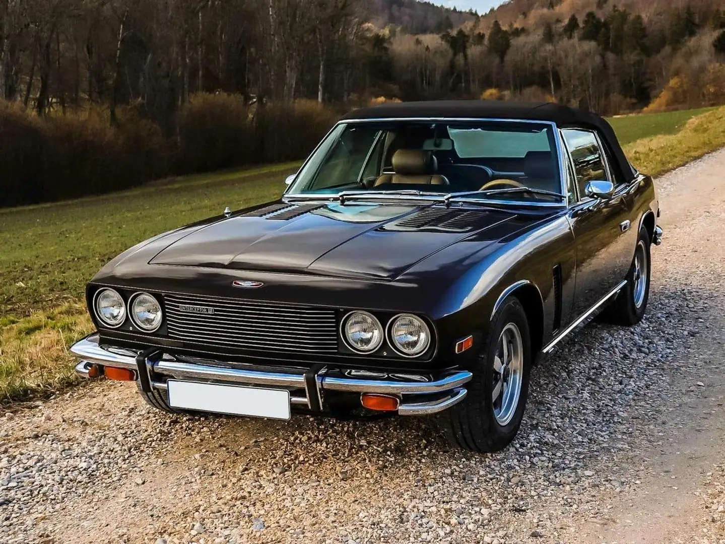 Jensen Interceptor Braun - 1