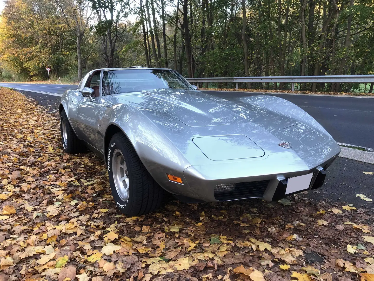 Corvette C3 25th Anniversary 1978 · Schalter Silber - 1